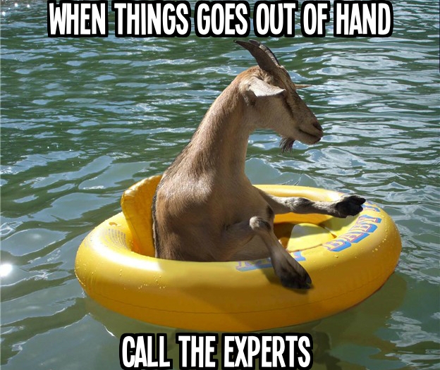 water damage goat memes